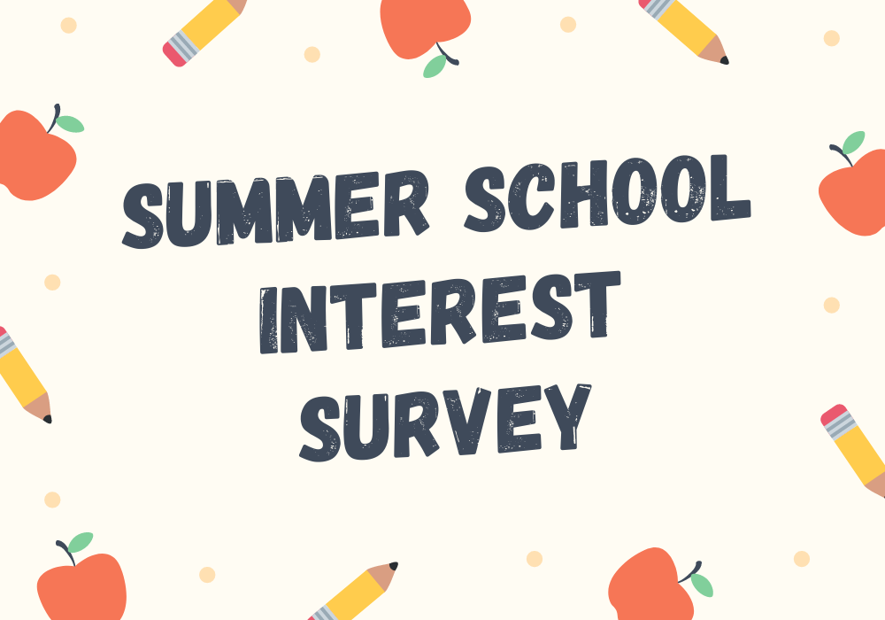 Summer School Survey