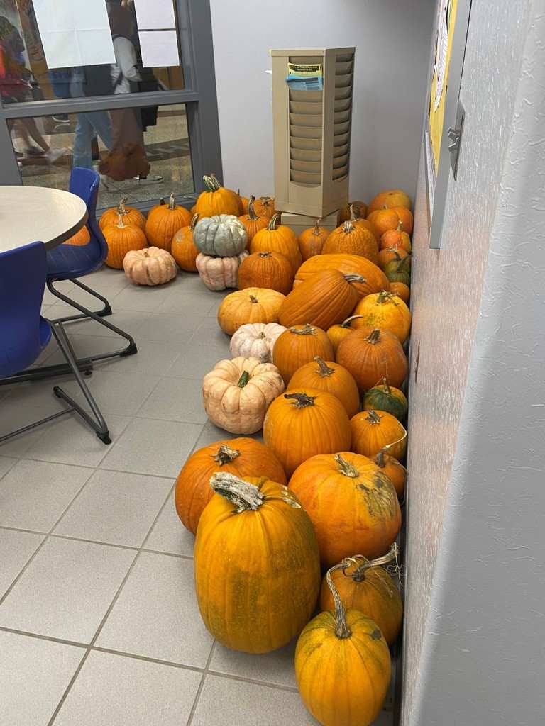 pile of large pumpkins in counselors office